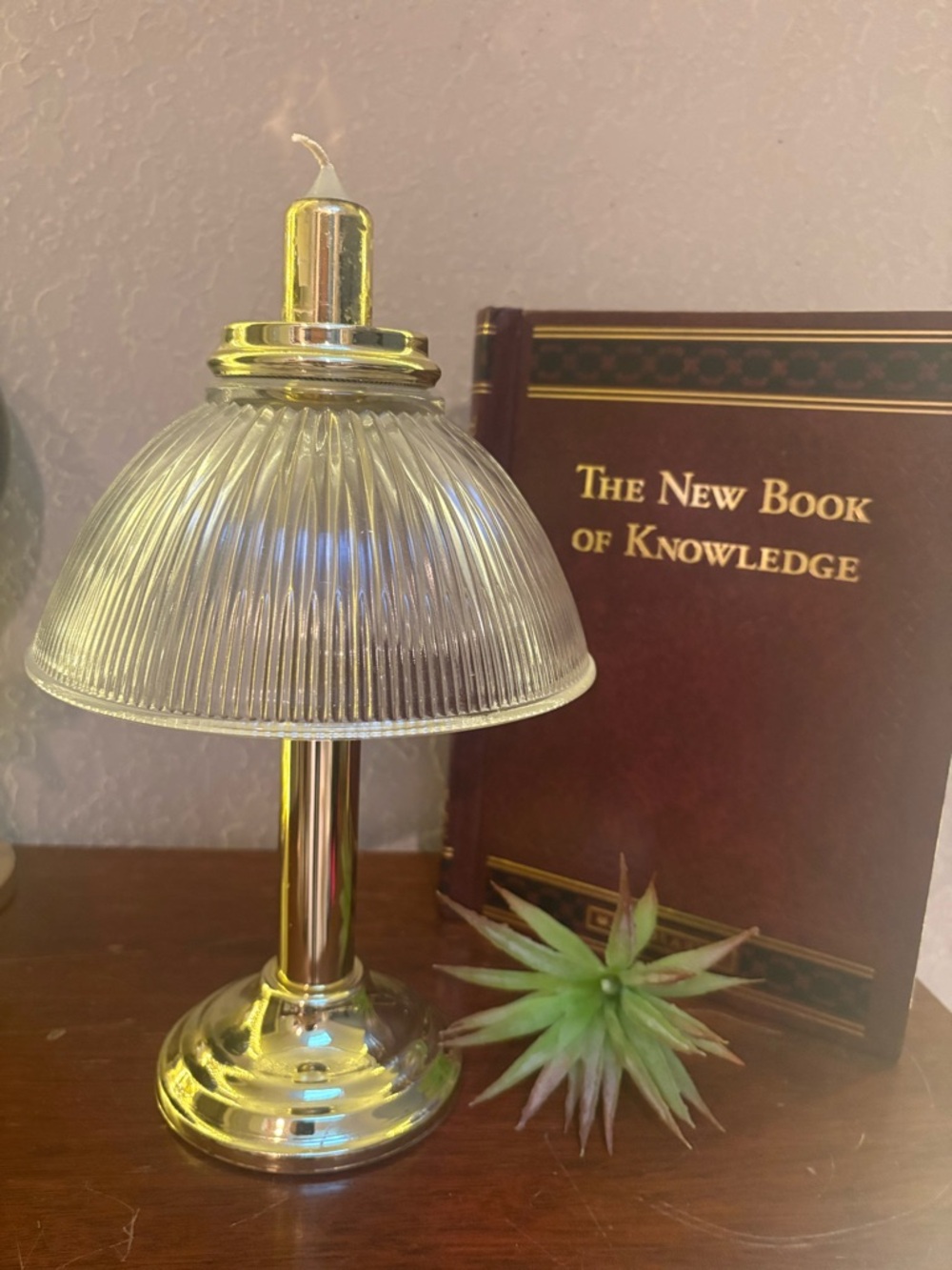 Vintage Fairy Party Light